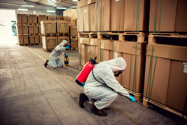 Best Residential Pest Control  in Butler, GA