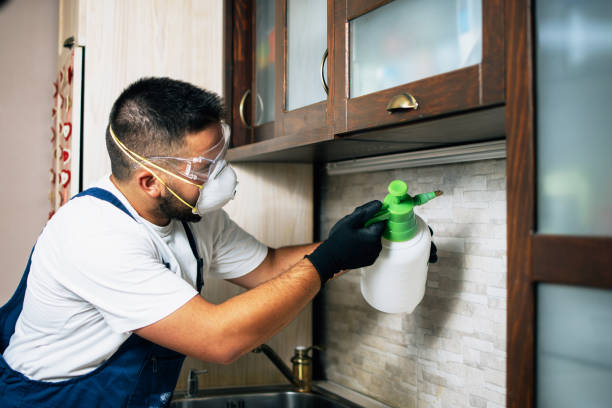 Best Exterminator Services  in Butler, GA