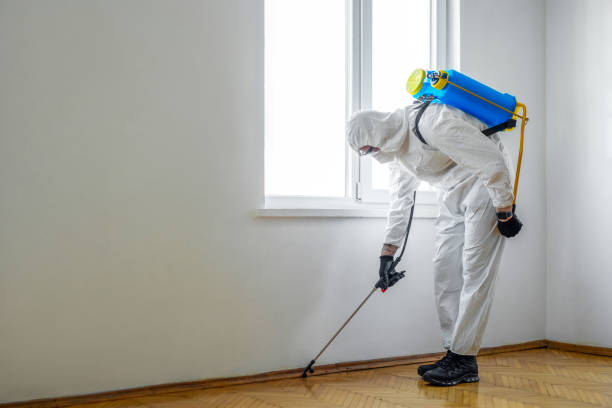 Best Pest Control Near Me  in Butler, GA