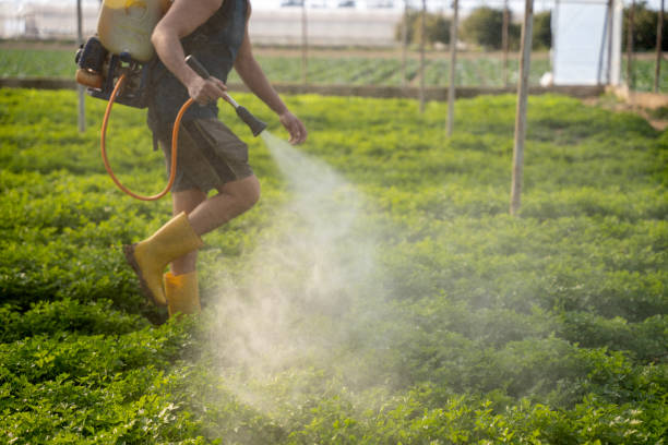Best Ant Control Services  in Butler, GA