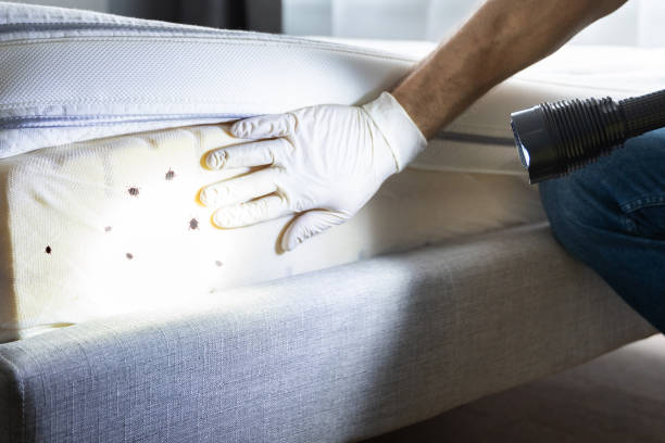 Best Insect Control  in Butler, GA