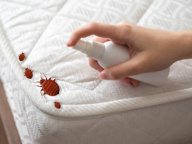 Best Pest Control for Restaurants  in Butler, GA